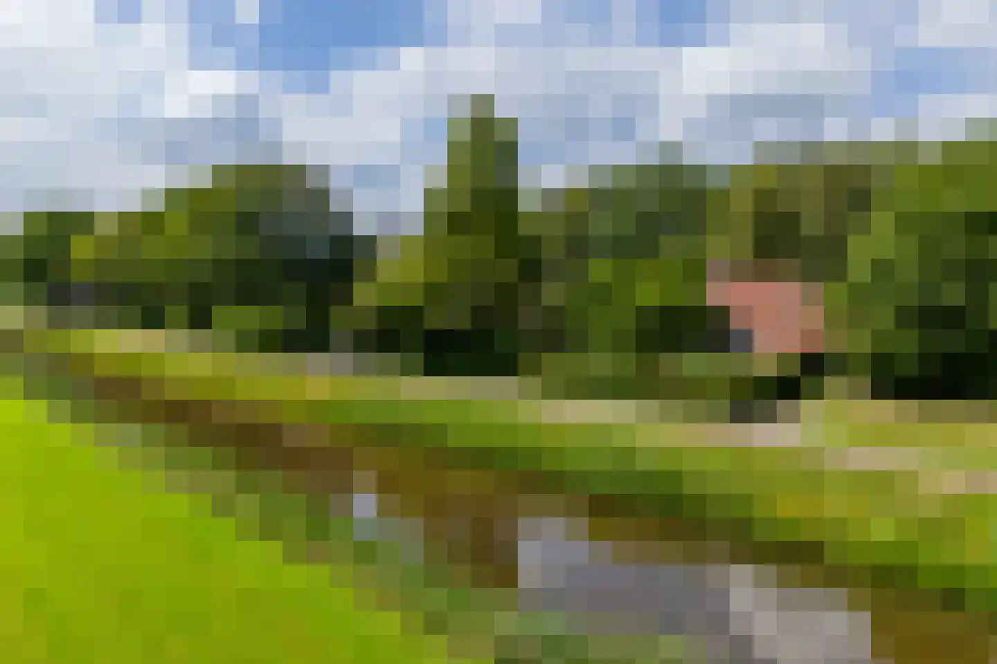 De Brandt 4 Dalfsen thumbnail 63