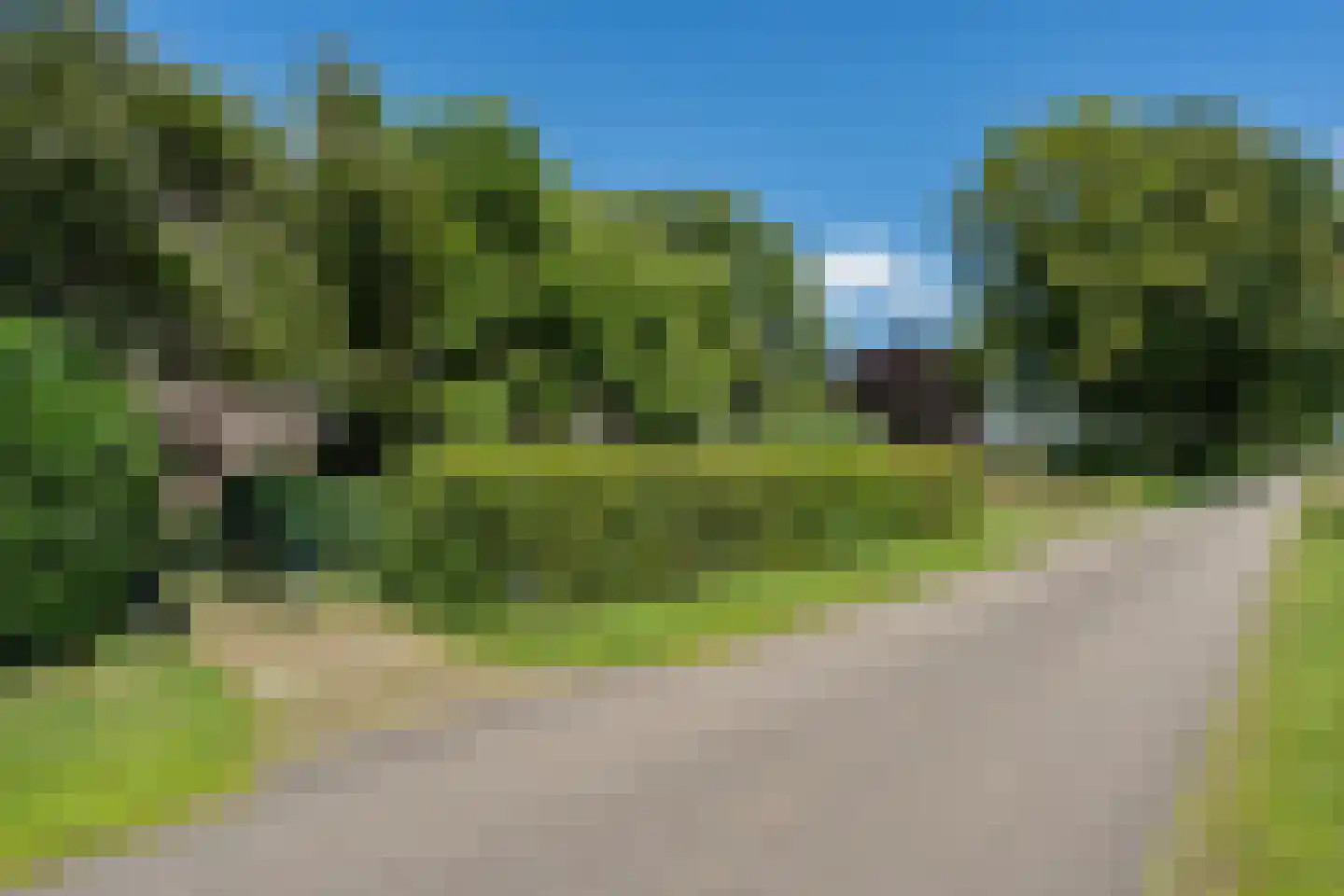 De Brandt 4 Dalfsen thumbnail 64