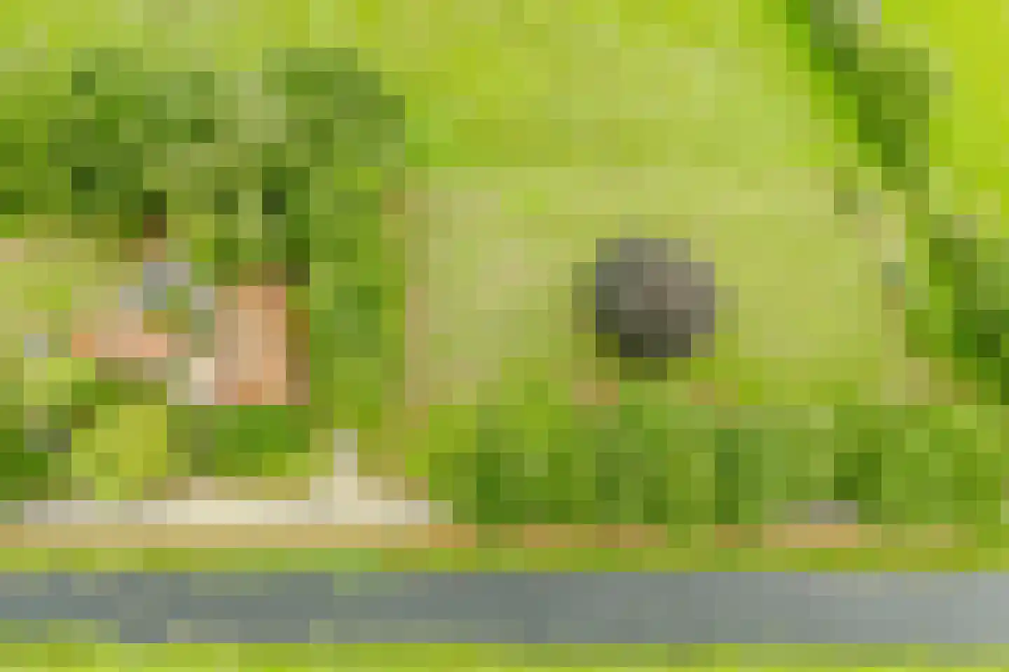 De Brandt 4 Dalfsen thumbnail 8