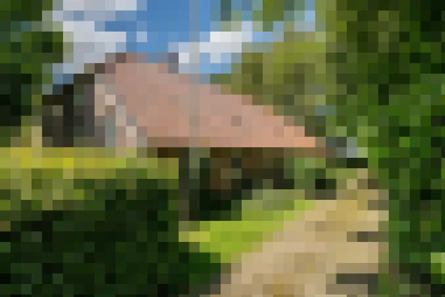 De Brandt 4 Dalfsen thumbnail 9