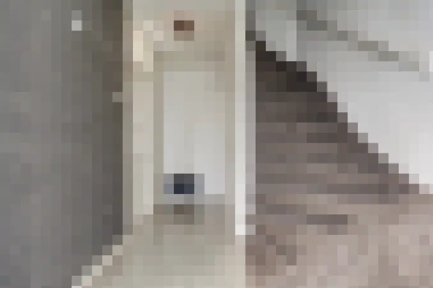 De Bras 8 Heenvliet thumbnail 6