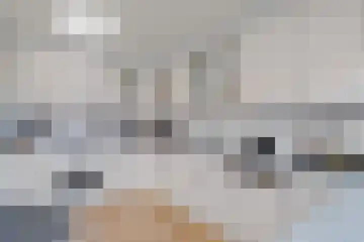 De Brauwstraat 1 Woerden thumbnail 17