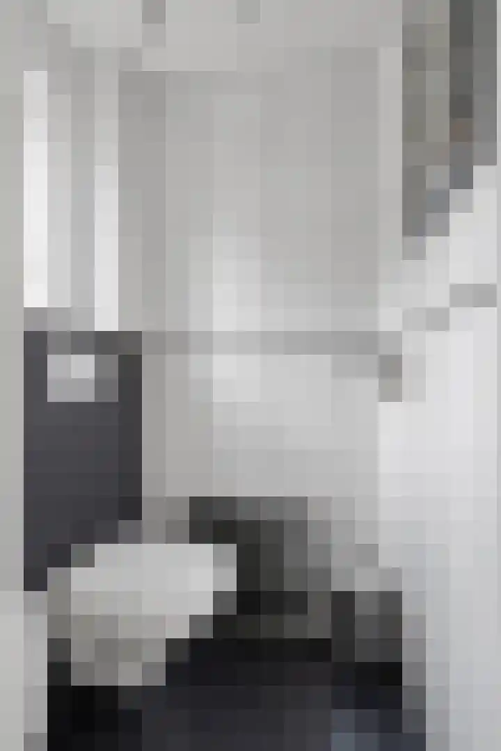 De Brauwstraat 1 Woerden thumbnail 7