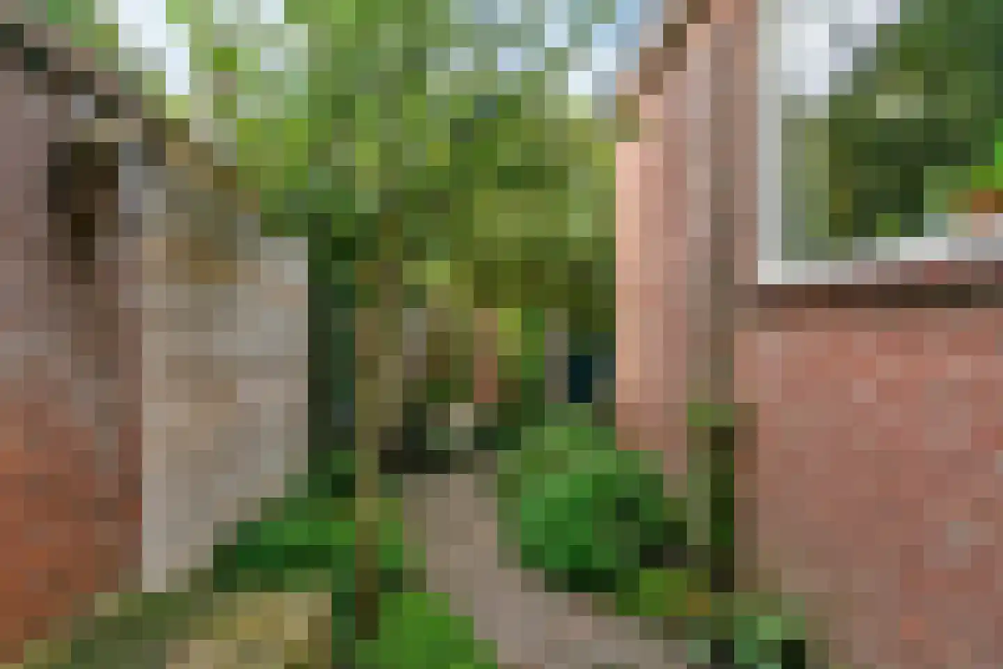 De Brauwstraat 11 Woerden thumbnail 27