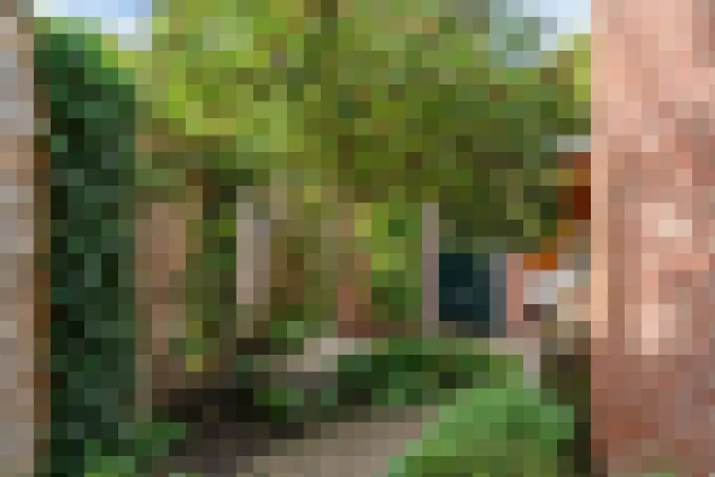 De Brauwstraat 11 Woerden thumbnail 28