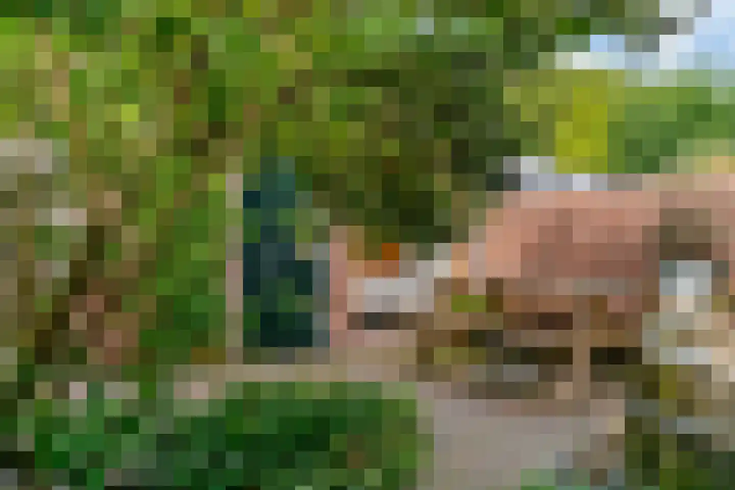 De Brauwstraat 11 Woerden thumbnail 29