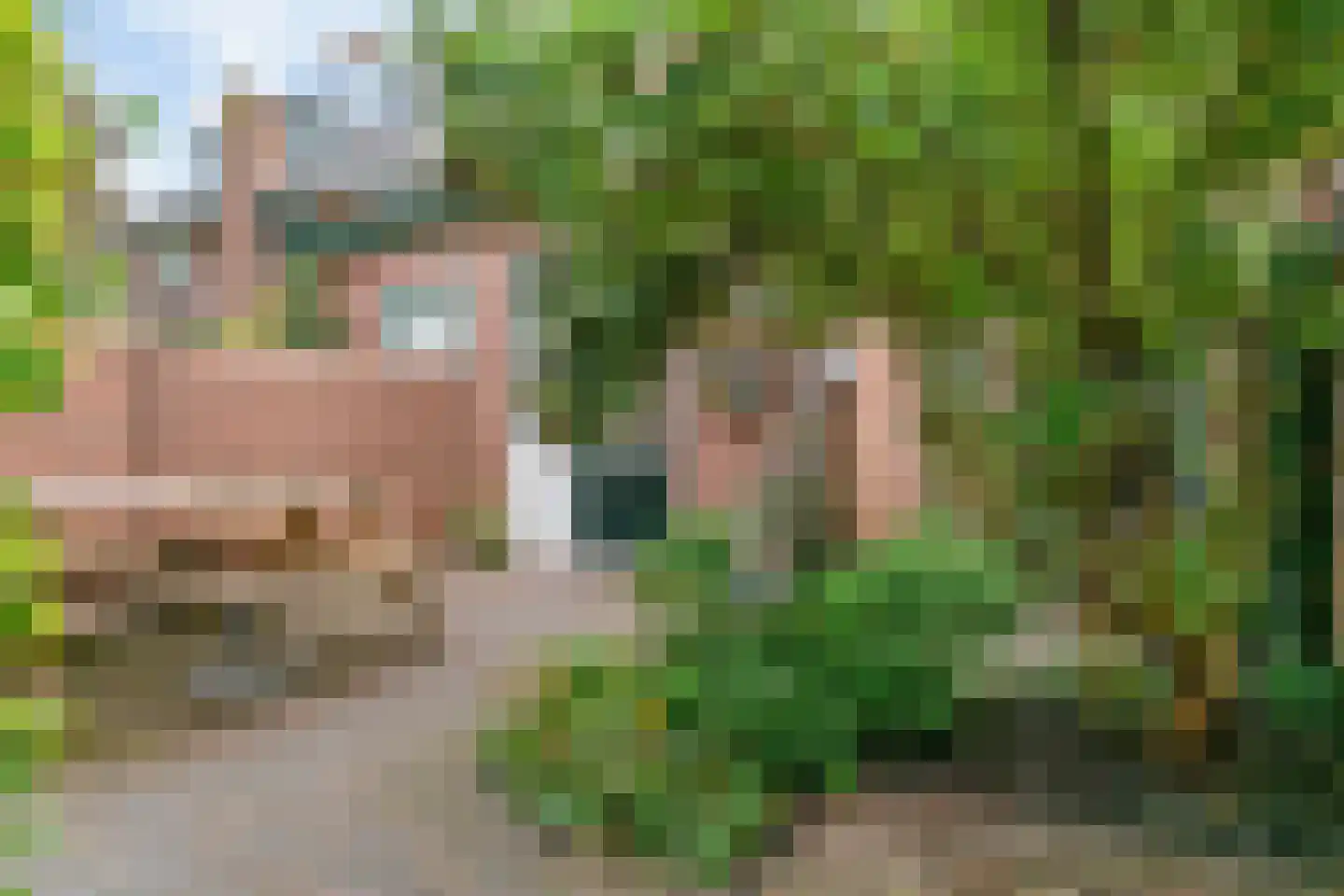 De Brauwstraat 11 Woerden thumbnail 32