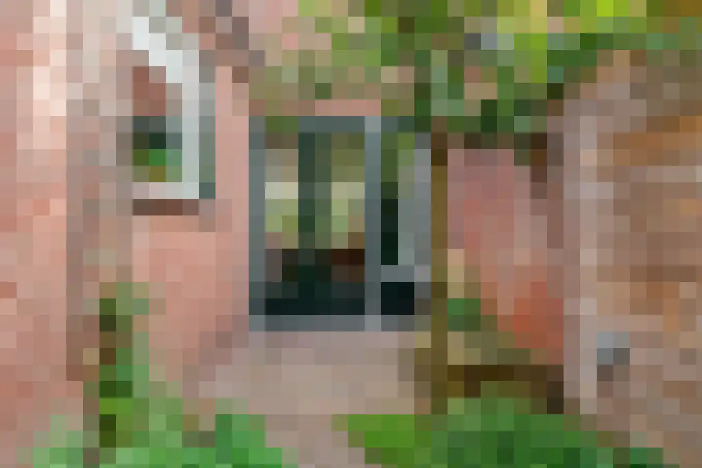 De Brauwstraat 11 Woerden thumbnail 33