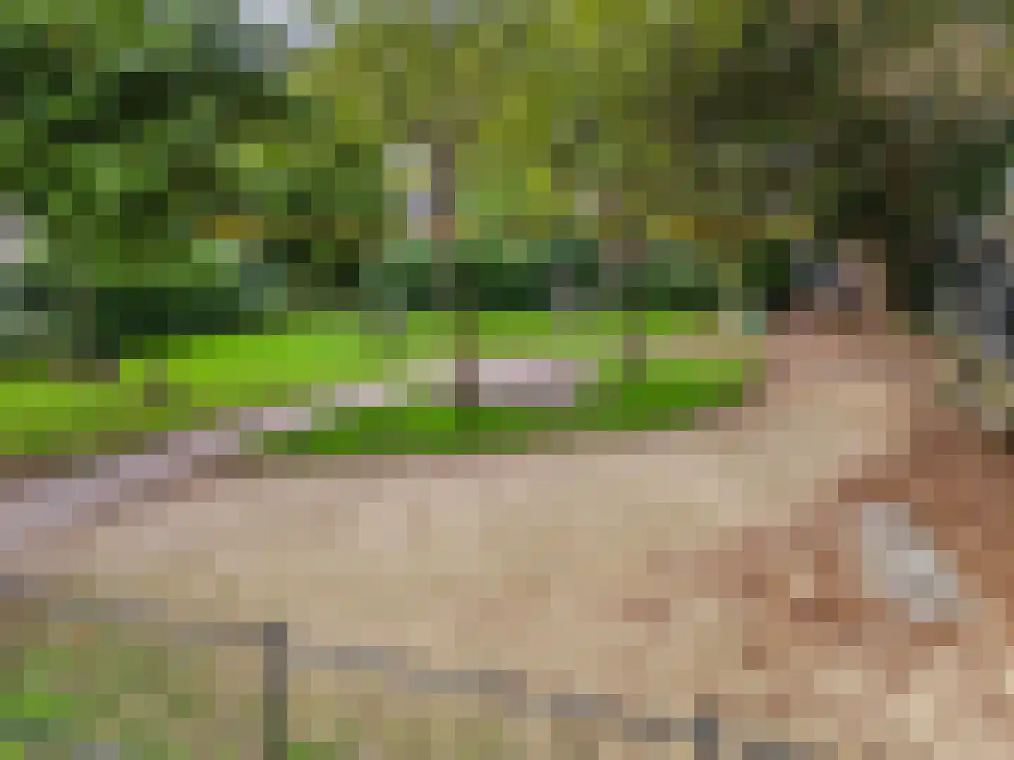 De Brauwstraat 11 Woerden thumbnail 37