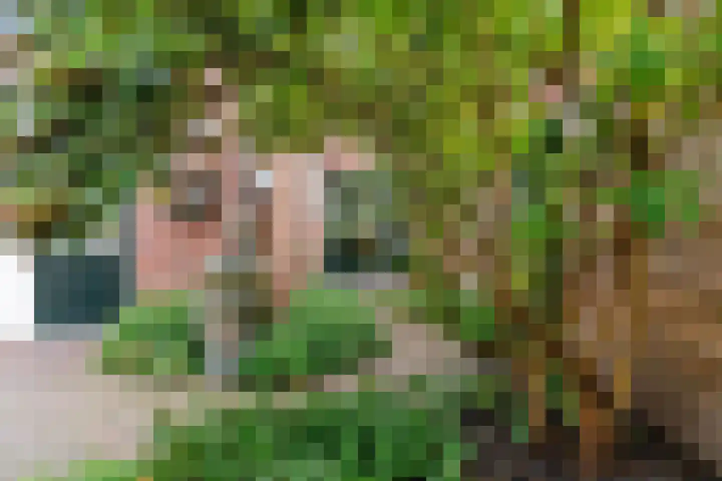 De Brauwstraat 11 Woerden thumbnail 5