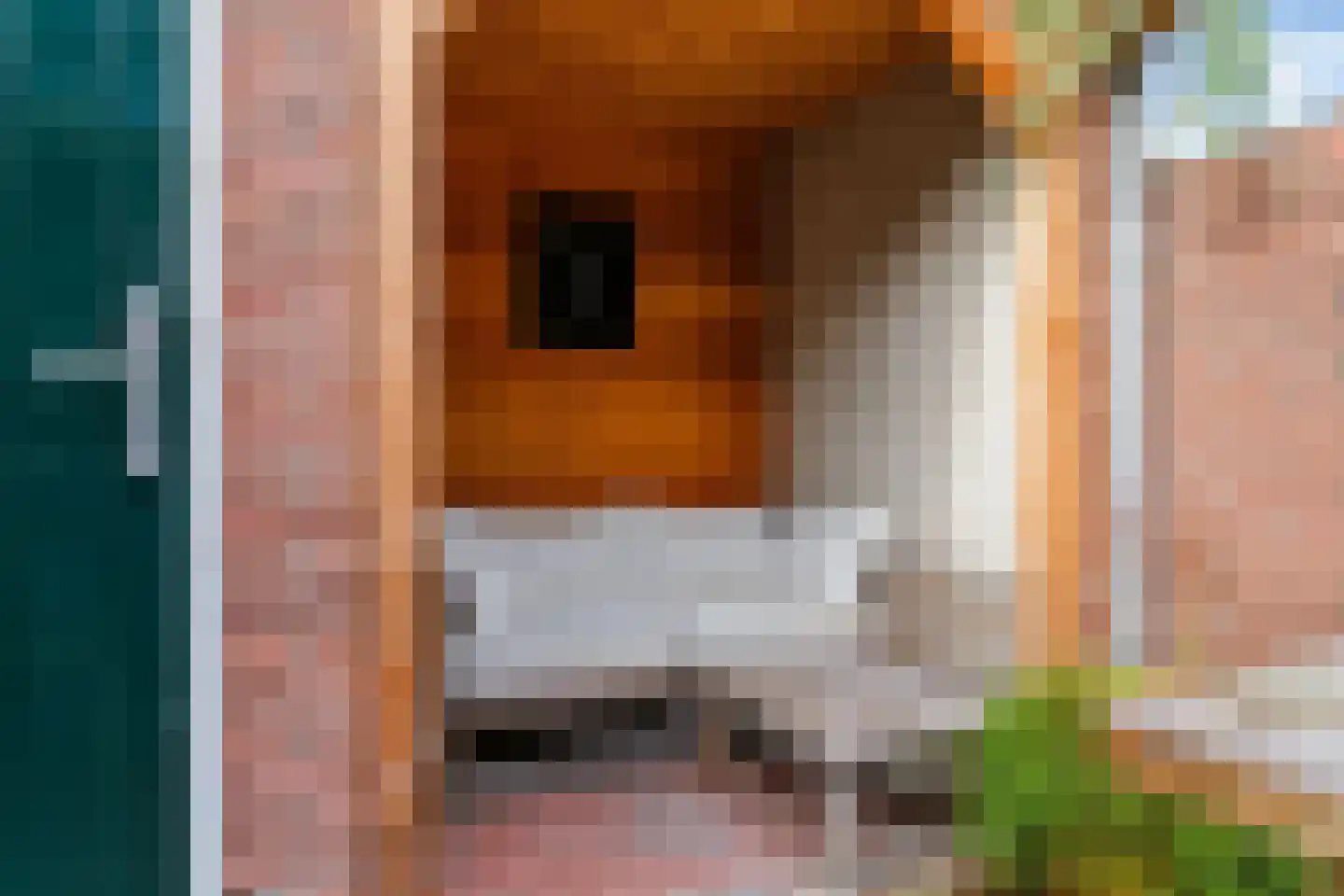 De Brauwstraat 11 Woerden thumbnail 7