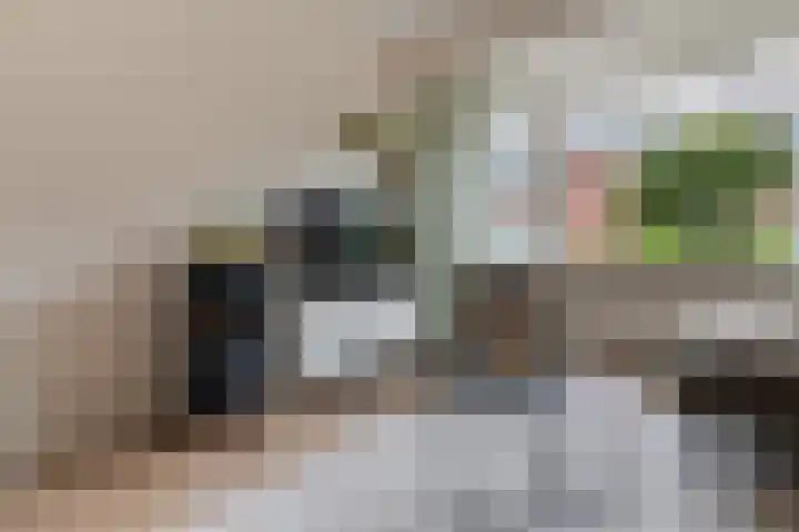De Brauwstraat 12 Woerden thumbnail 10