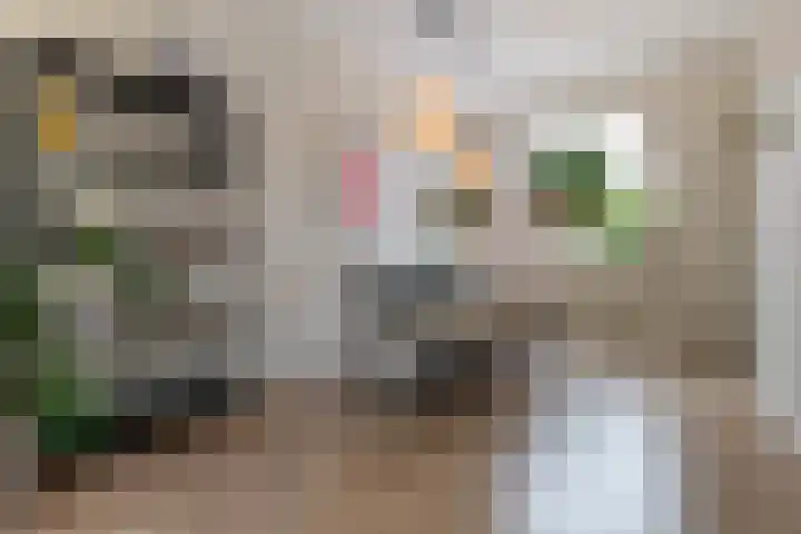 De Brauwstraat 12 Woerden thumbnail 13