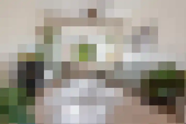 De Brauwstraat 12 Woerden thumbnail 14