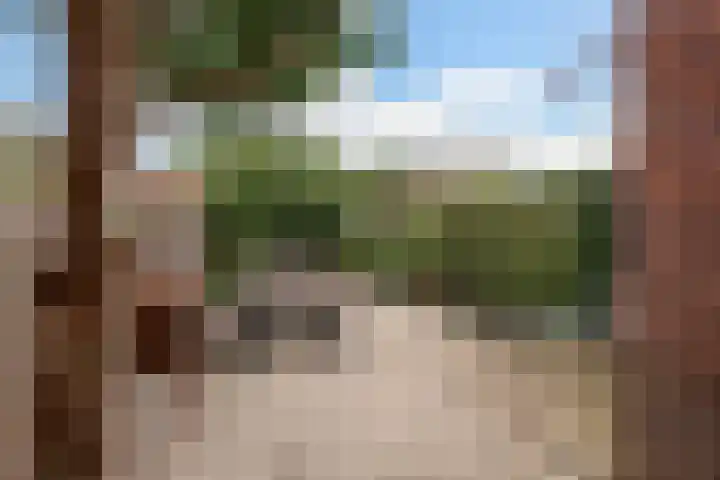 De Brauwstraat 12 Woerden thumbnail 20