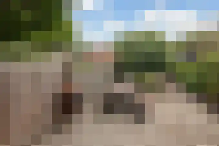 De Brauwstraat 12 Woerden thumbnail 23