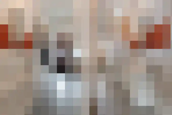 De Brauwstraat 12 Woerden thumbnail 4