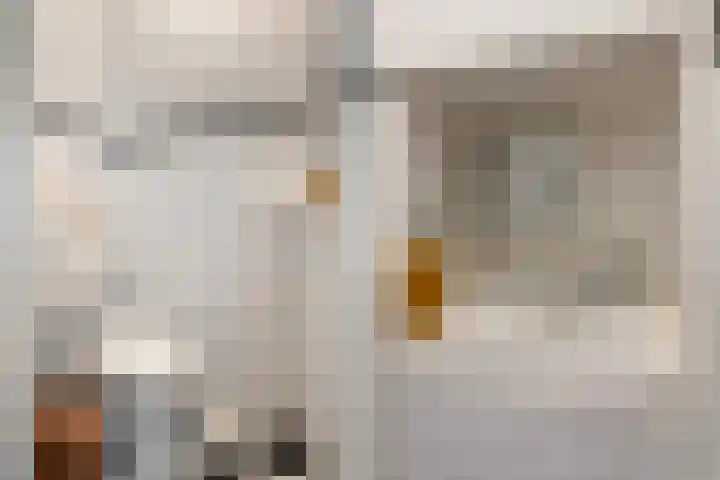 De Brauwstraat 12 Woerden thumbnail 5