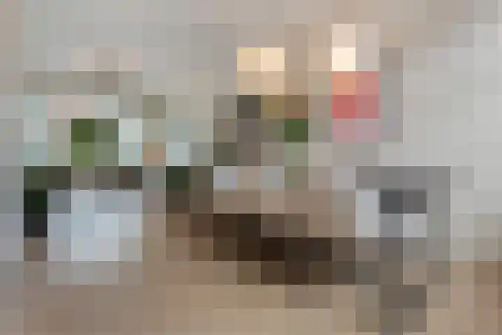 De Brauwstraat 12 Woerden thumbnail 6