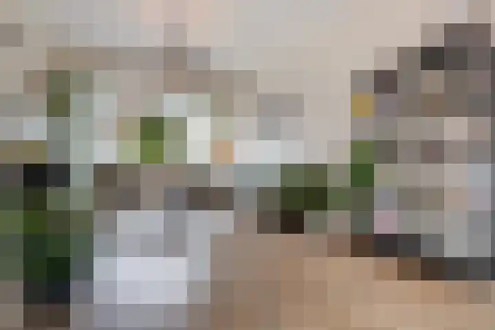 De Brauwstraat 12 Woerden thumbnail 7