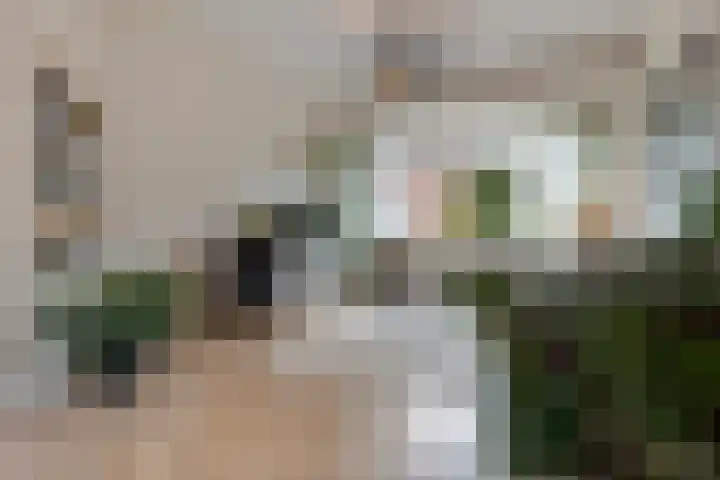 De Brauwstraat 12 Woerden thumbnail 8