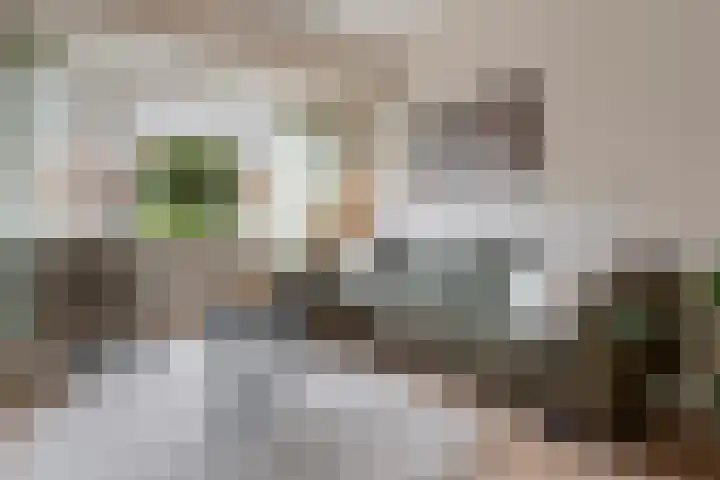 De Brauwstraat 12 Woerden thumbnail 9