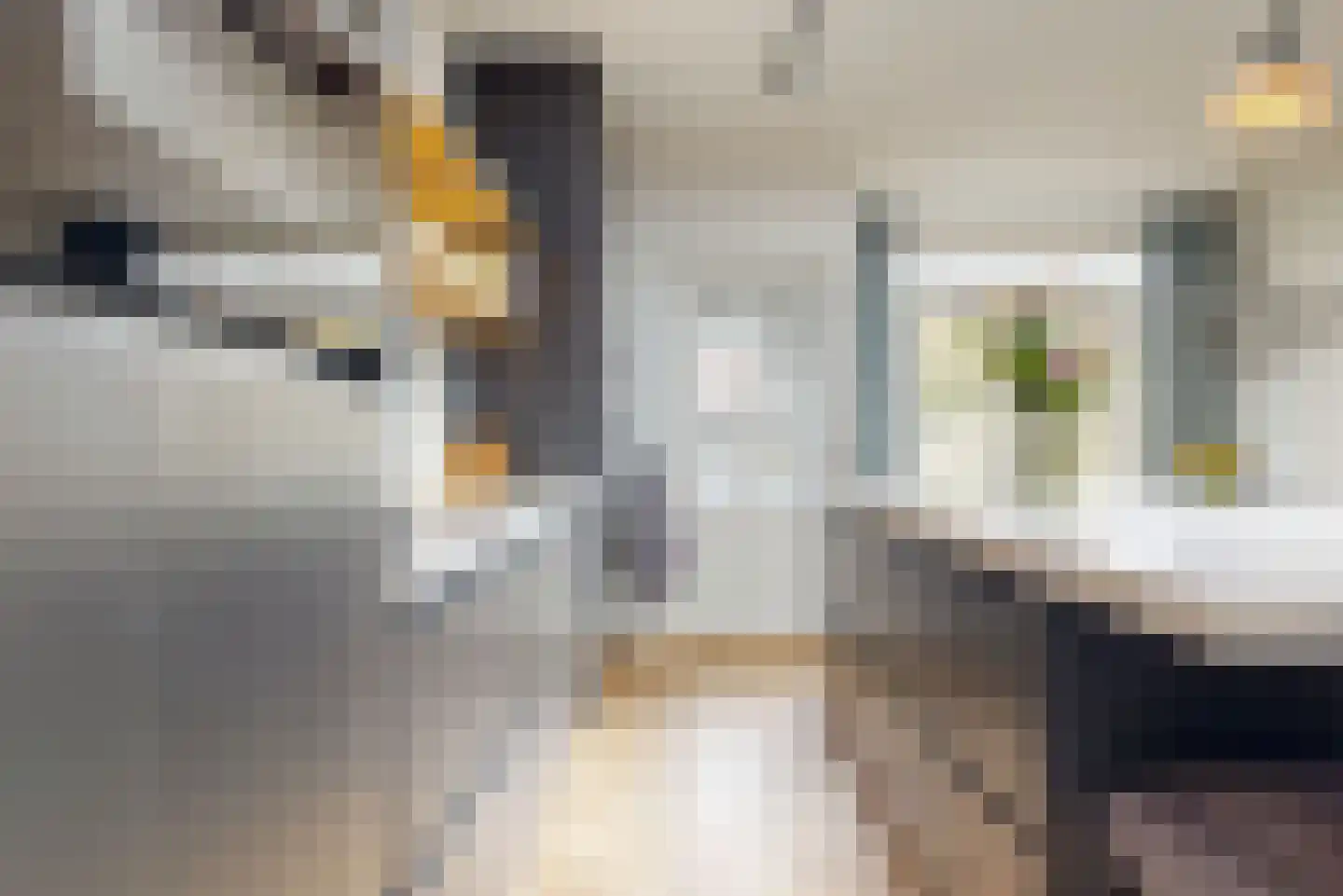 De Brauwstraat 14 Woerden thumbnail 12