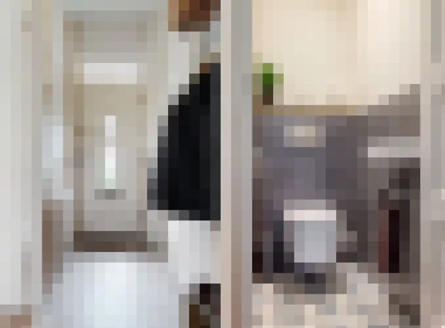 De Brauwstraat 14 Woerden thumbnail 17