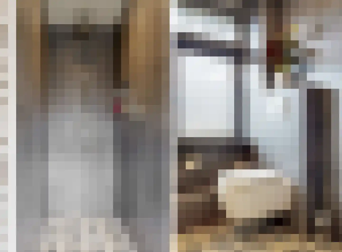 De Brauwstraat 14 Woerden thumbnail 26