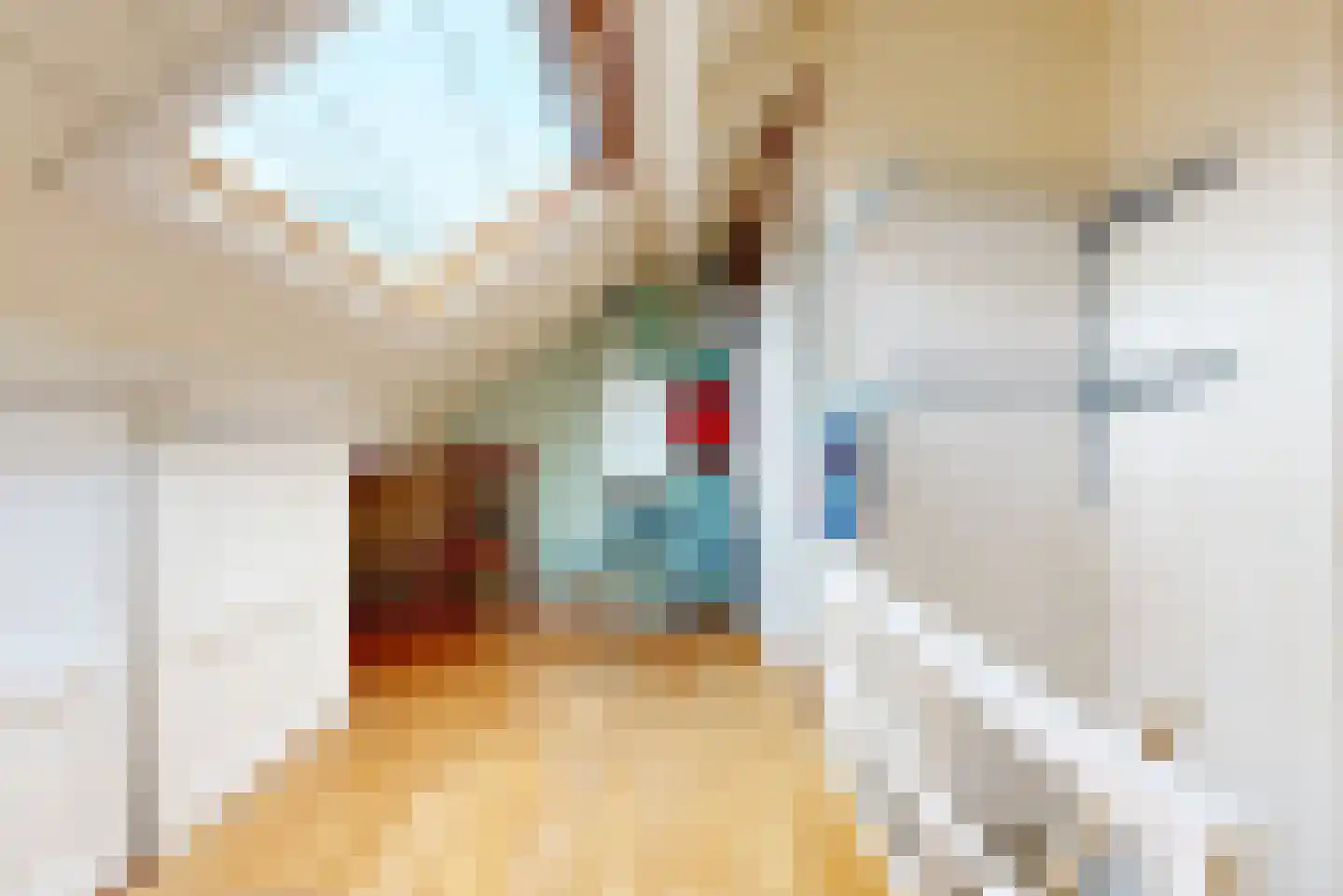 De Brauwstraat 14 Woerden thumbnail 29