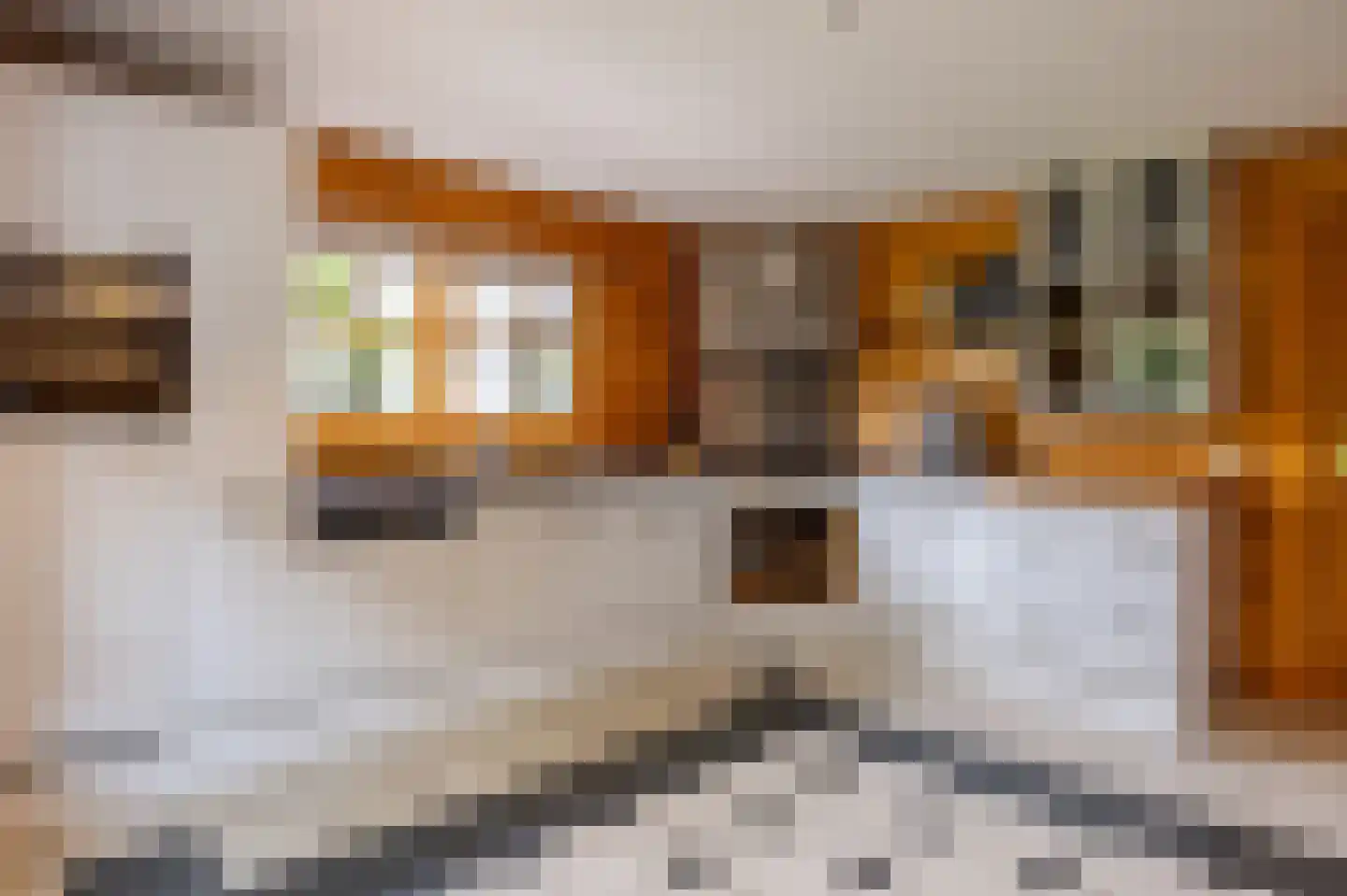 De Bréautélaan 10 Vught thumbnail 21