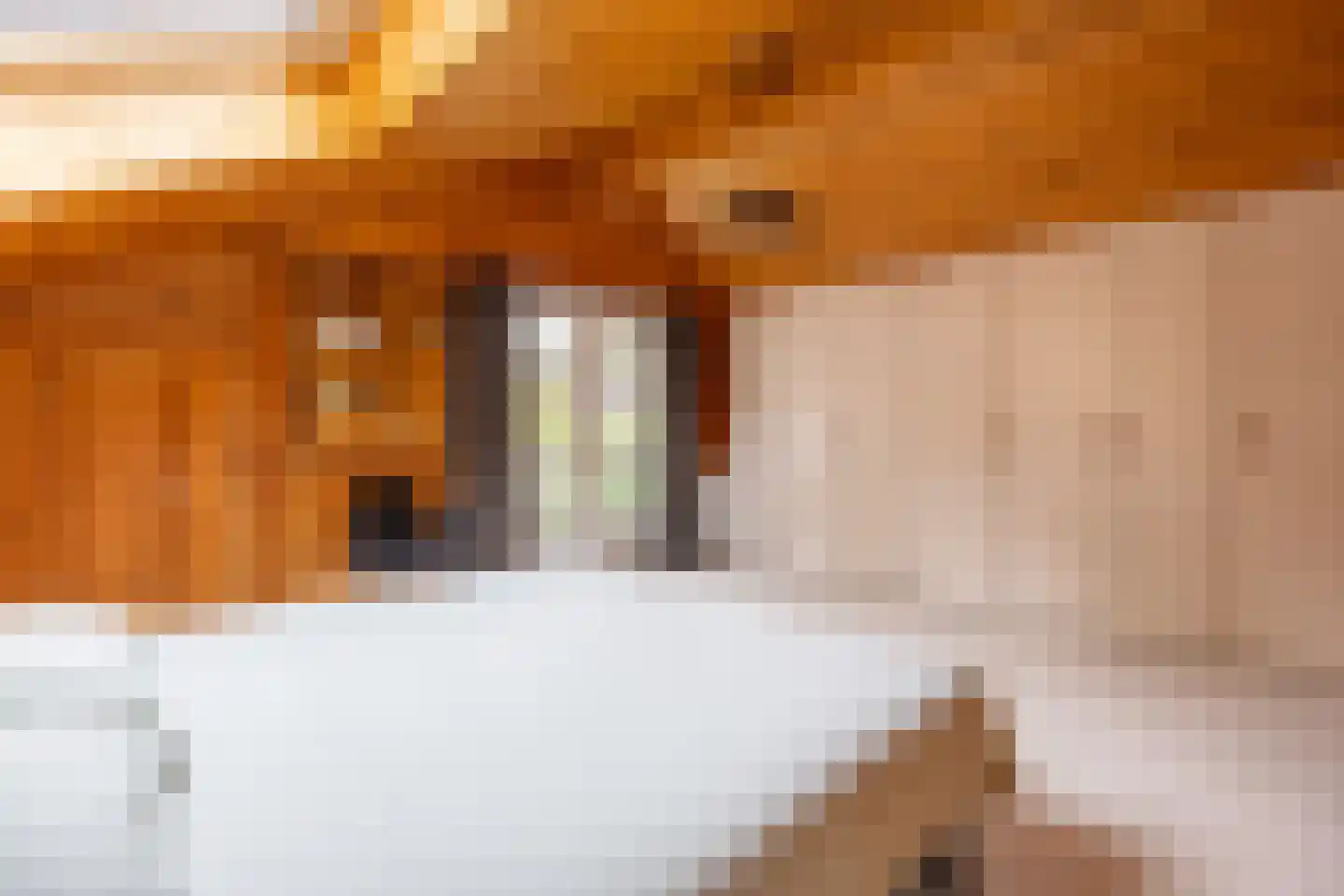 De Bréautélaan 10 Vught thumbnail 25