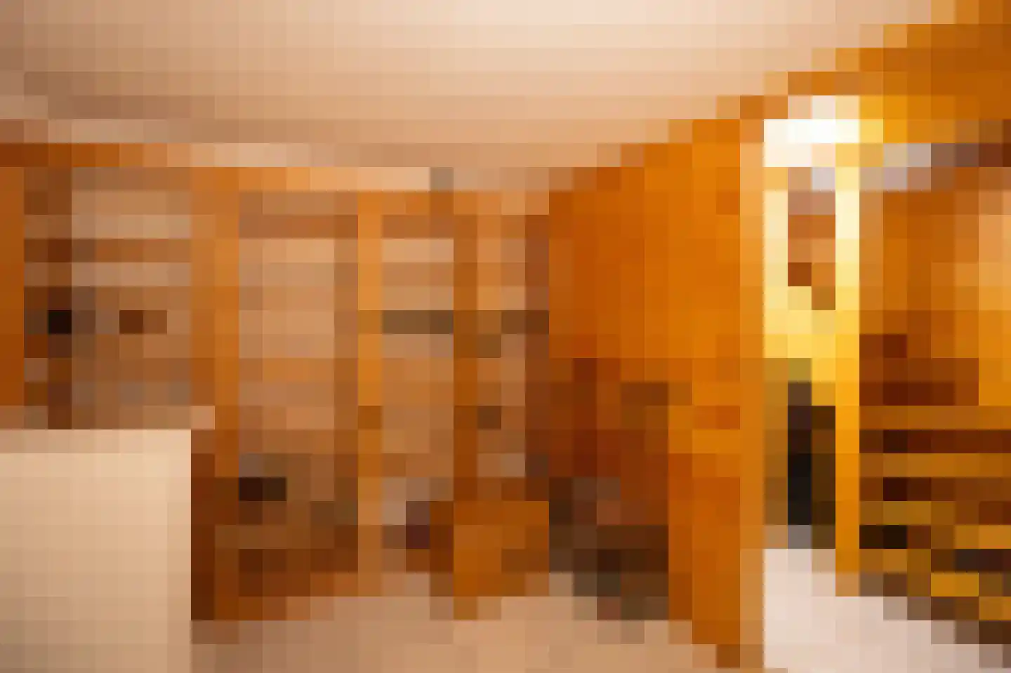 De Bréautélaan 10 Vught thumbnail 39