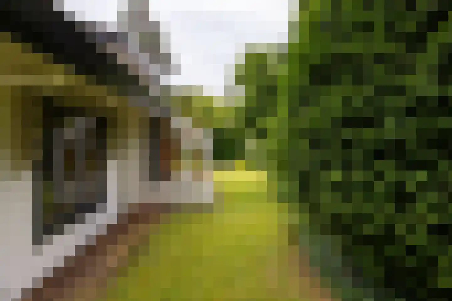 De Bréautélaan 10 Vught thumbnail 40