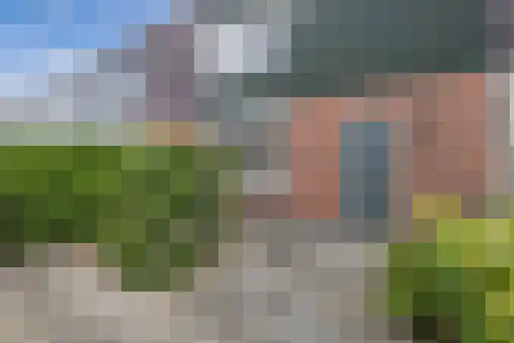 De Bredase Hunt 10 Dronten thumbnail 13
