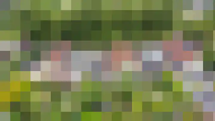 De Bredase Hunt 10 Dronten foto 3