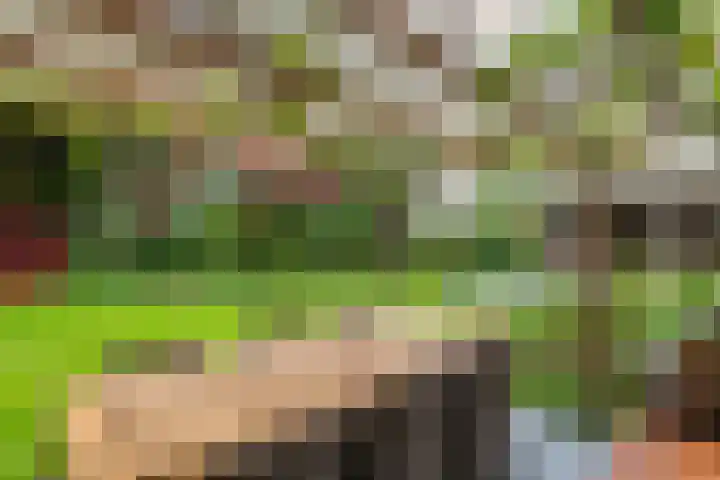 De Bredase Hunt 10 Dronten thumbnail 31