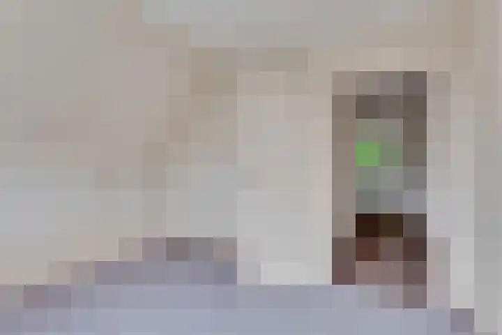 De Bredase Hunt 10 Dronten thumbnail 37