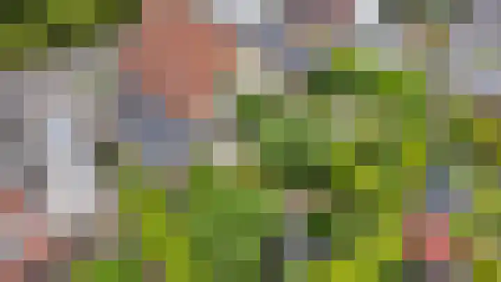 De Bredase Hunt 10 Dronten thumbnail 4