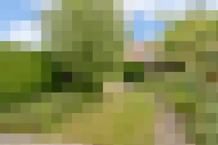 De Bredase Hunt 10 Dronten thumbnail 42