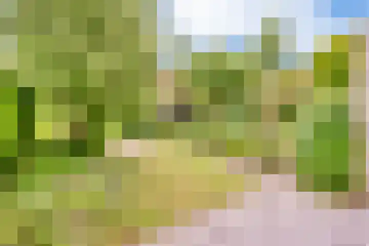 De Bredase Hunt 10 Dronten thumbnail 43