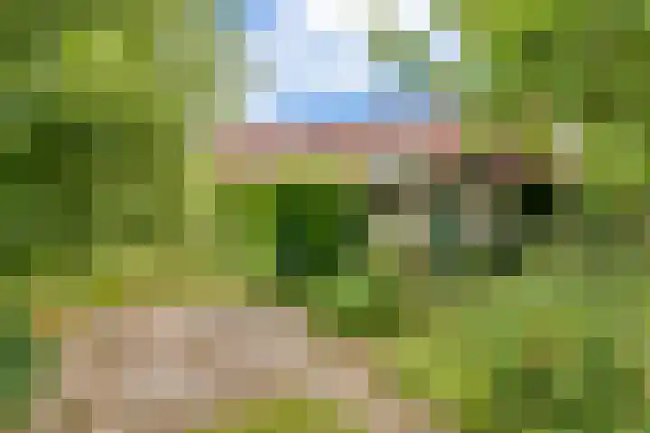 De Bredase Hunt 10 Dronten thumbnail 44