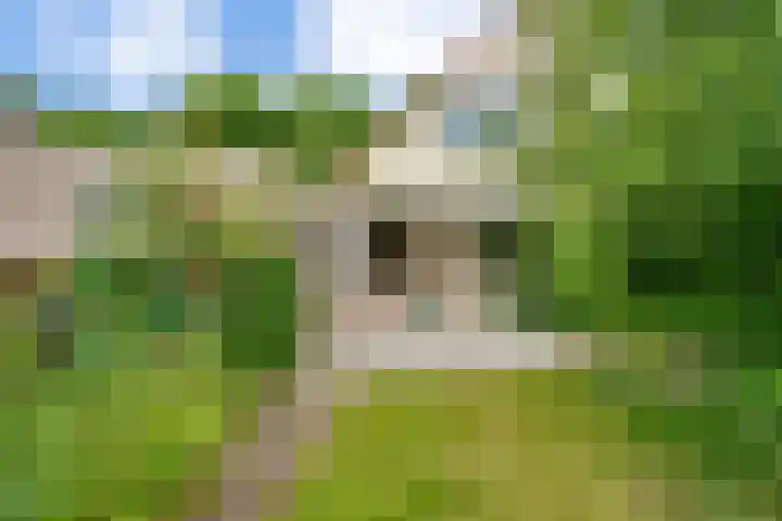 De Bredase Hunt 10 Dronten thumbnail 45