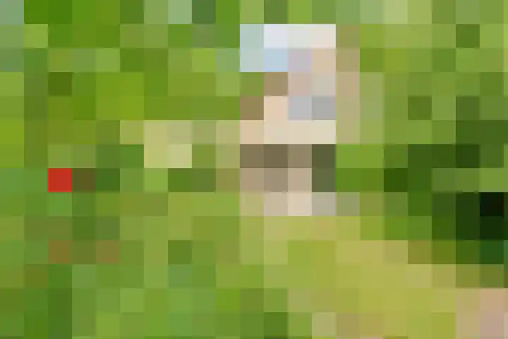 De Bredase Hunt 10 Dronten thumbnail 47