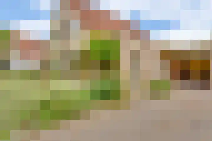 De Bredase Hunt 10 Dronten thumbnail 48