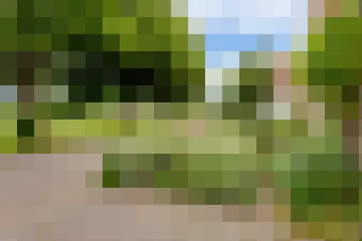 De Bredase Hunt 10 Dronten thumbnail 49