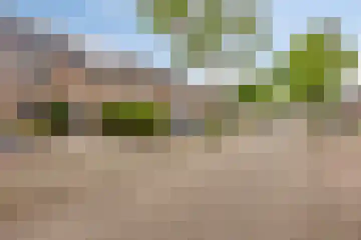 De Bredase Hunt 10 Dronten thumbnail 52