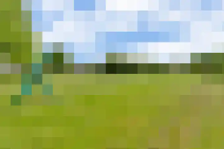 De Bredase Hunt 10 Dronten thumbnail 52
