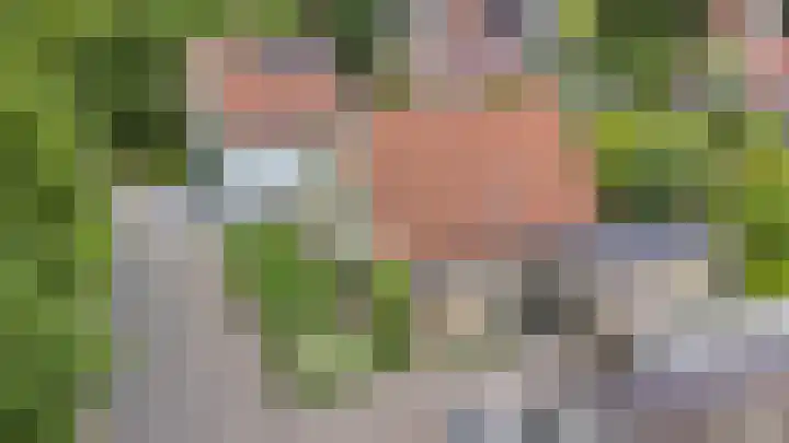De Bredase Hunt 10 Dronten thumbnail 53