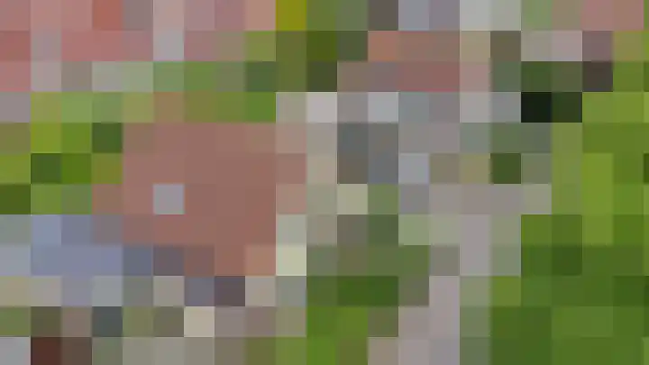 De Bredase Hunt 10 Dronten thumbnail 54